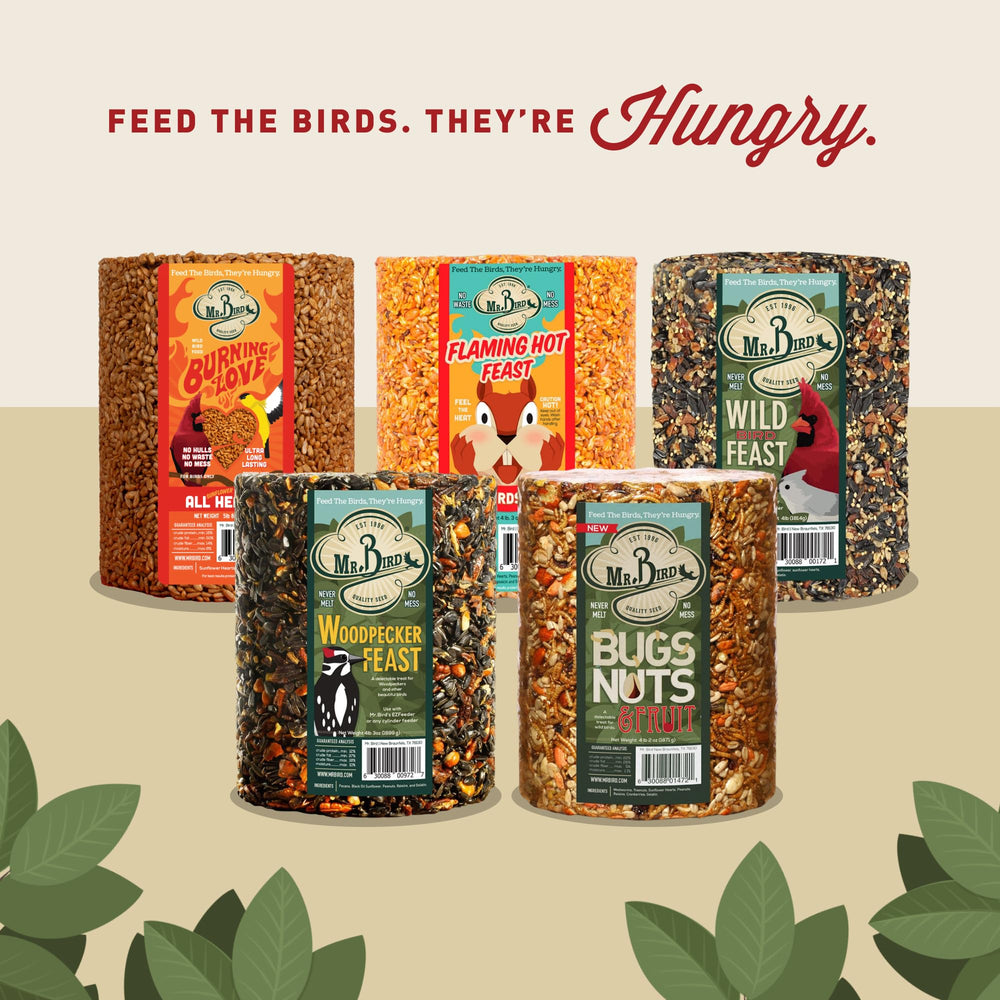 Mr. Bird feeder with cardinals and woodpeckers feeding, draws diverse species