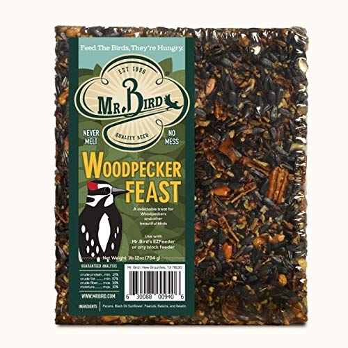 Mr. Bird seed block placed in Neat Feeder XL attracting woodpecker
