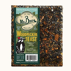 Mr. Bird seed block placed in Neat Feeder XL attracting woodpecker