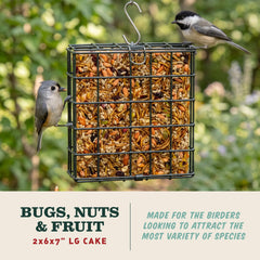 Close-up of cake ingredients, Mr. Bird highlighting quality mealworms and nuts