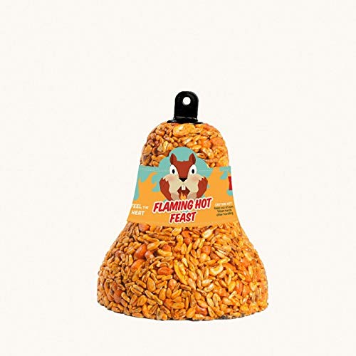 Mr. Bird close-up of seed bell texture and suet nuggets for energy-rich feed