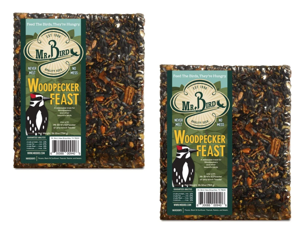 Mr. Bird close-up of pecans, peanuts, sunflower and raisins showing quality