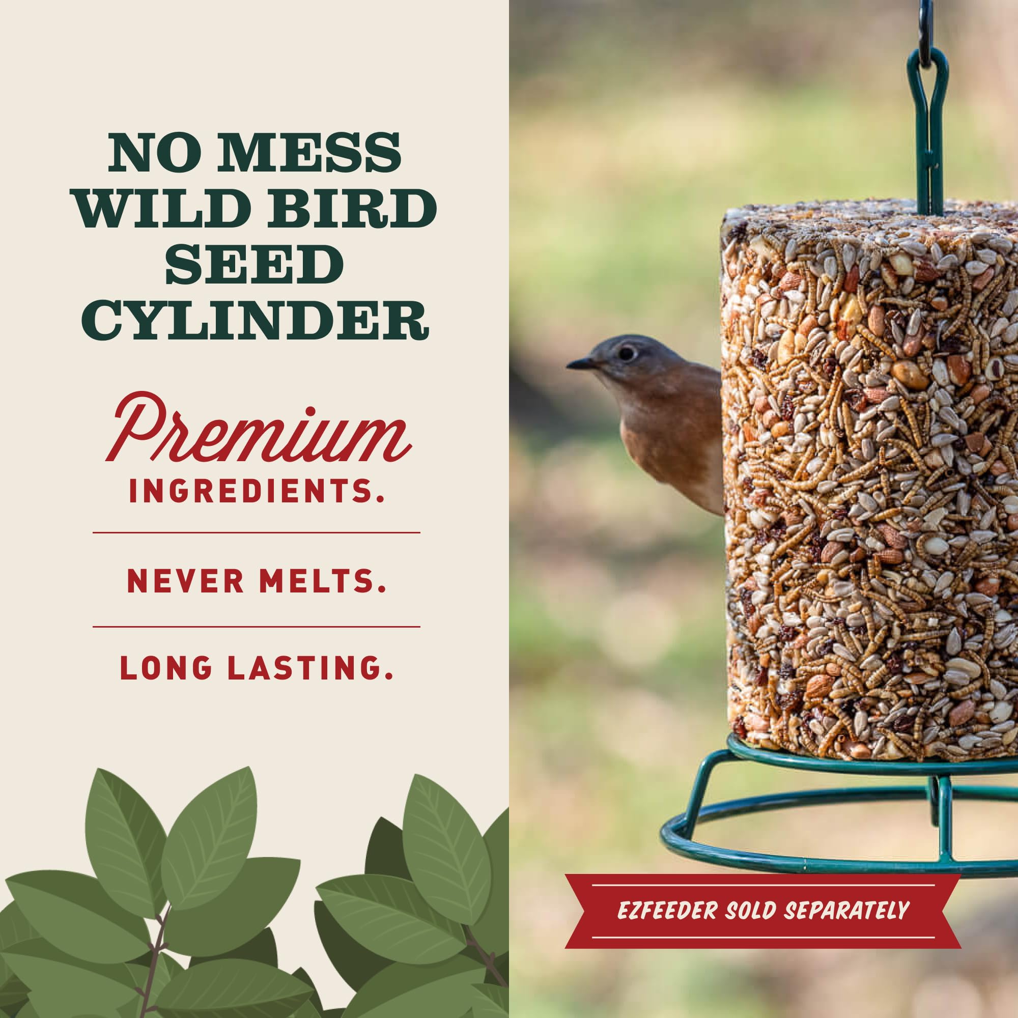 Mr. Bird close-up of pecans peanuts and dried fruit, energy-dense bird nutrition