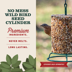 Mr. Bird close-up of pecans peanuts and dried fruit, energy-dense bird nutrition