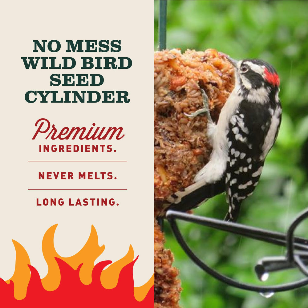Mr. Bird cylinder mounted in EZFeeder showing secure installation