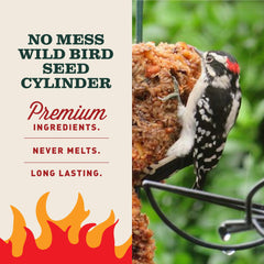 Mr. Bird cylinder mounted in EZFeeder showing secure installation