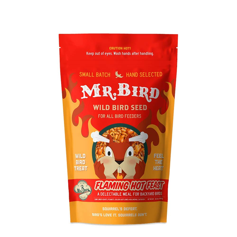 Mr. Bird seed in a backyard feeder demonstrating squirrel-resistant feeding benefit