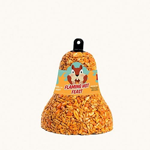 Mr. Bird seed bell hanging in backyard attracting songbirds while deterring squirrels