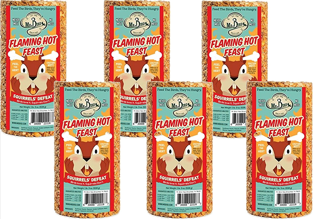 Mr. Bird Flaming Hot Feast in feeder hung outdoors attracting songbirds while deterring squirrels