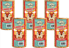 Mr. Bird Flaming Hot Feast in feeder hung outdoors attracting songbirds while deterring squirrels