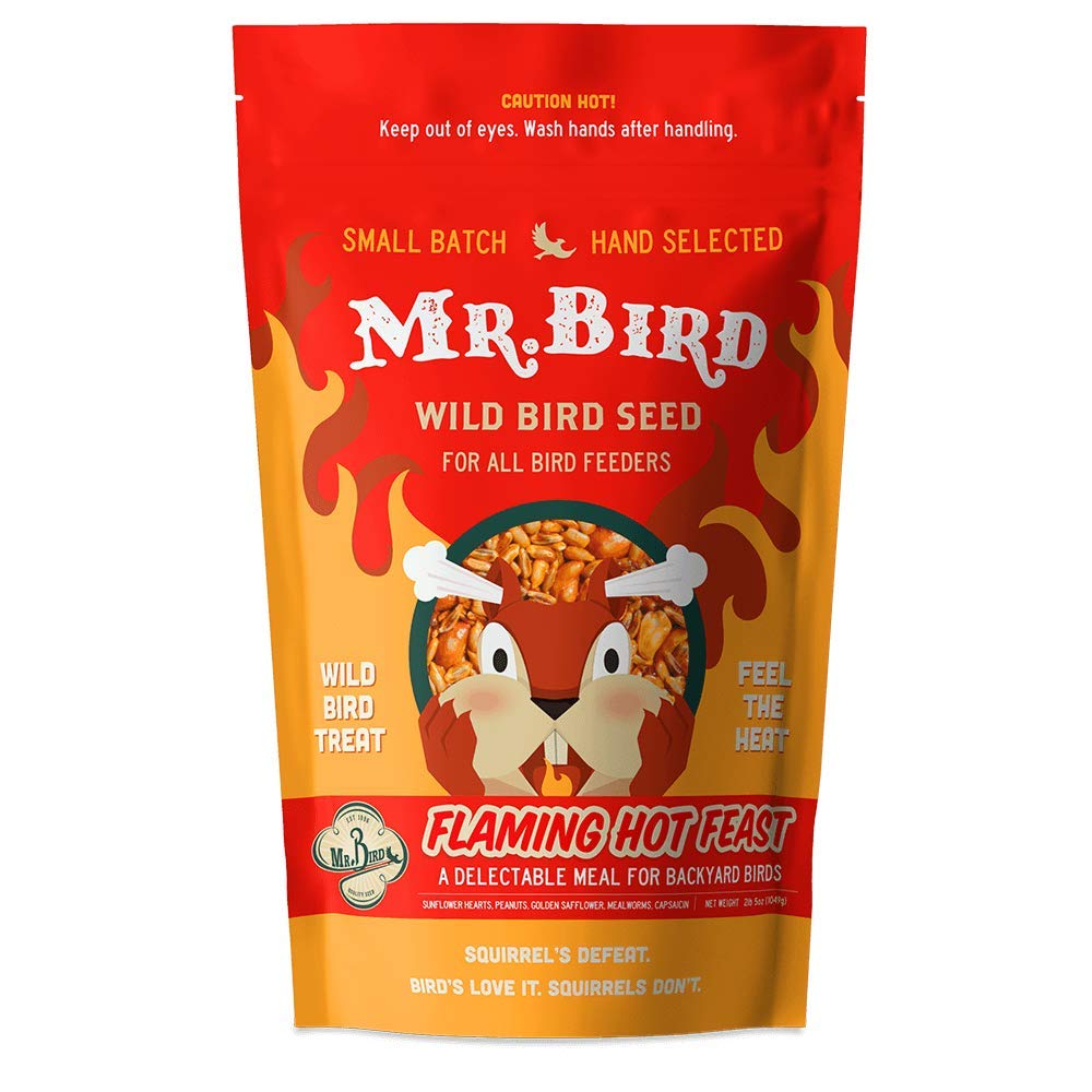 Mr. Bird seed in feeder with colorful bird visiting, attracting cardinals