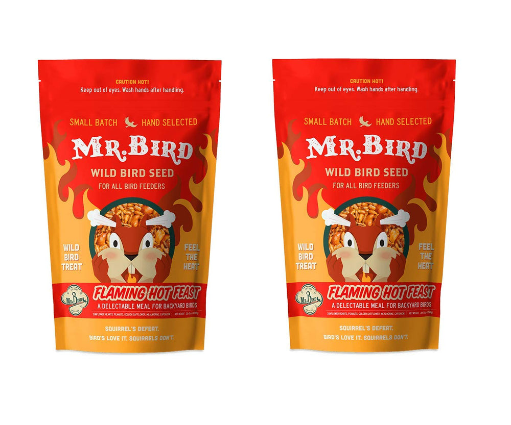 Mr. Bird close-up of seed mix textures highlighting high-energy ingredients for birds