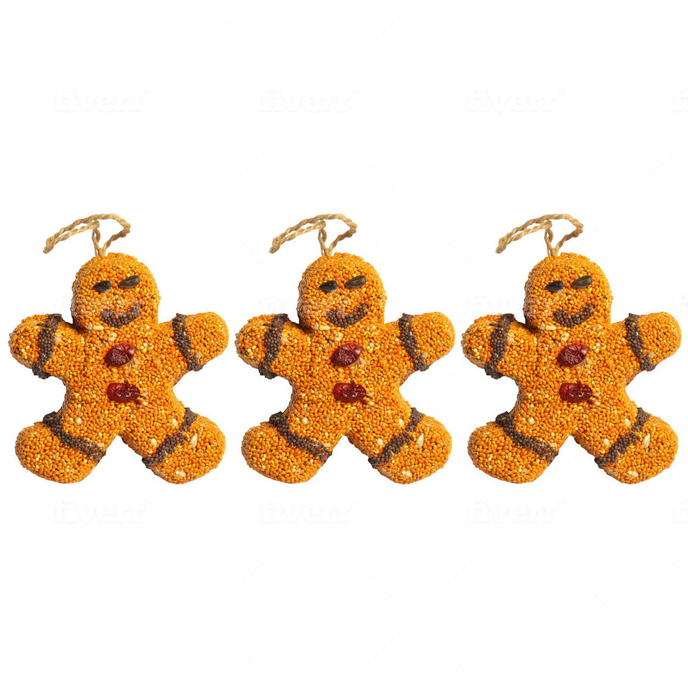 Mr. Bird close-up of seed and cranberry texture highlighting bird attraction