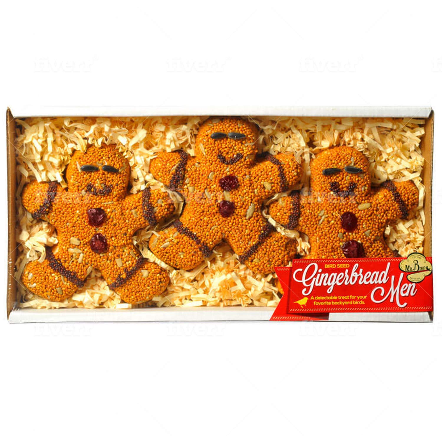 Mr. Bird gingerbread men hanging on branch attracting backyard birds