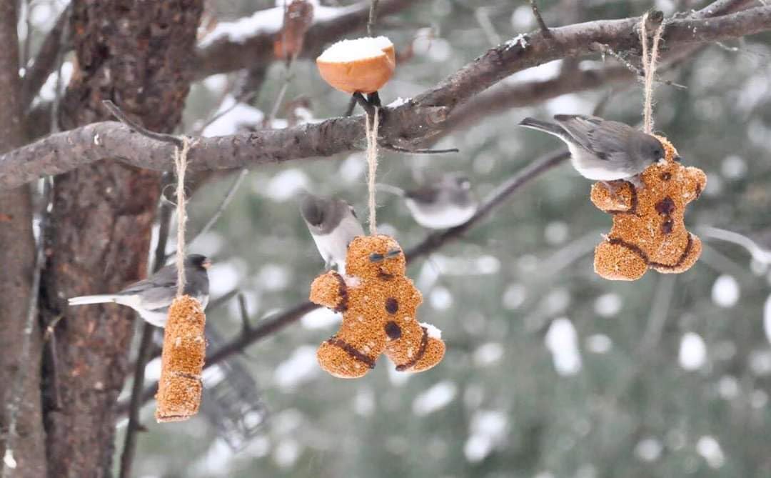 Mr. Bird feeder held in hand showing size for quick placement