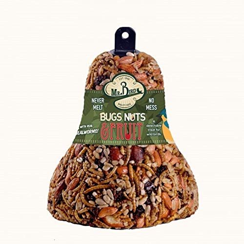 Mr. Bird seed bell hanging on branch with visiting bird — attracts more species