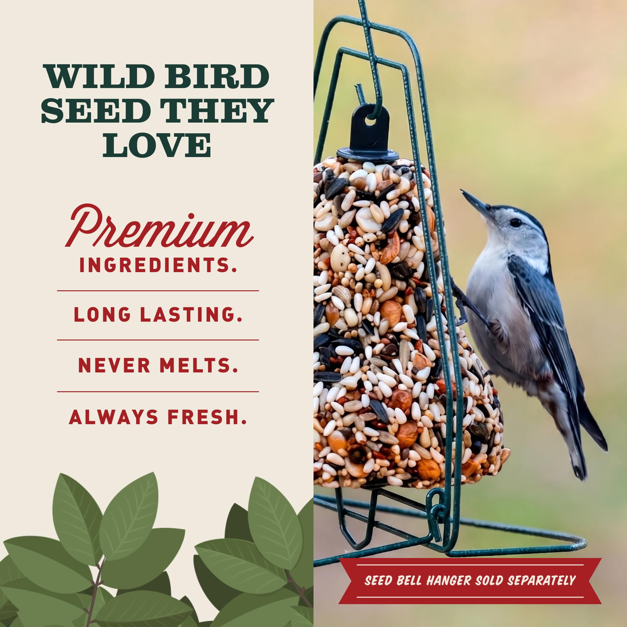 Mr. Bird seed bell hanging from tree branch attracting backyard birds