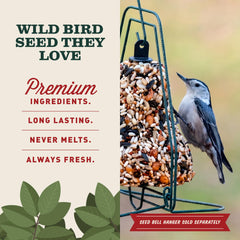 Mr. Bird seed bell hanging from tree branch attracting backyard birds