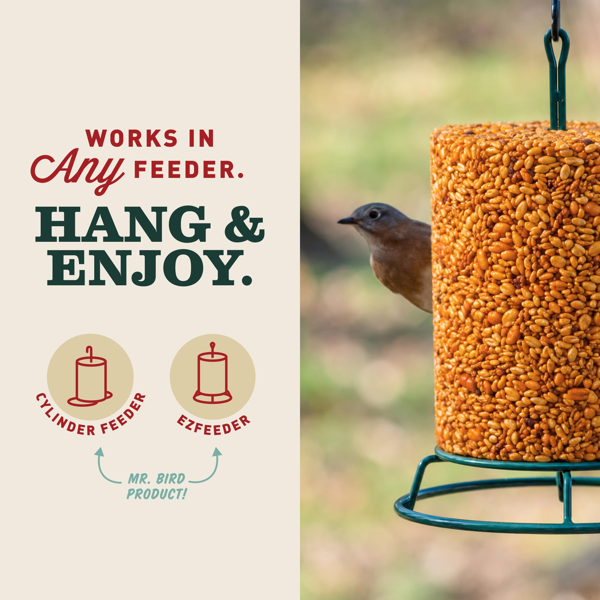 Mr. Bird depiction of squirrel ignoring cylinder showing pest deterrent