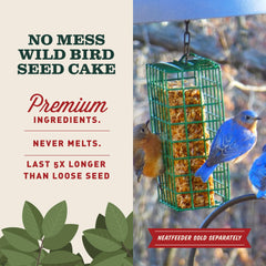 Texture detail with sunflower hearts visible, Mr. Bird ensures energy-dense feed