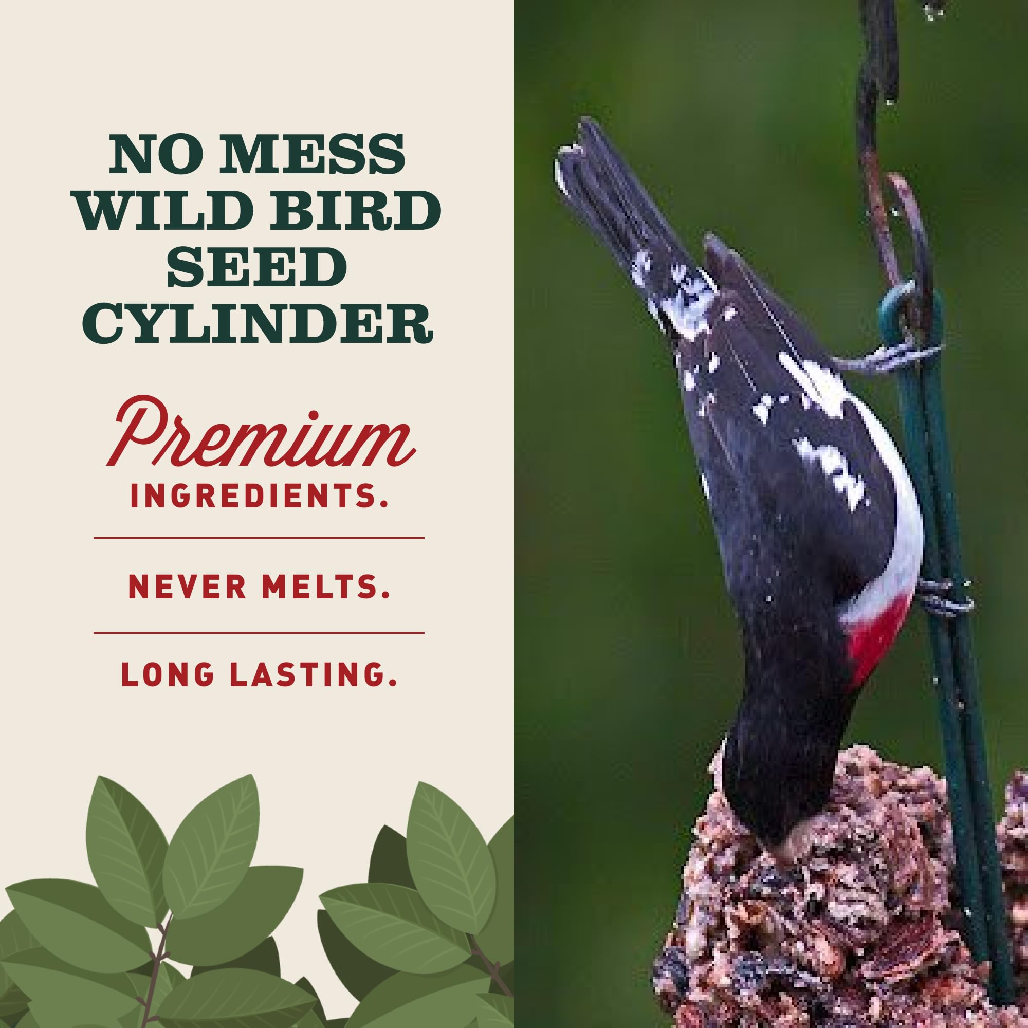 Mr. Bird cylinder installed in feeder attracting multiple bird species