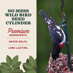 Mr. Bird cylinder installed in feeder attracting multiple bird species