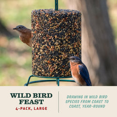Mr. Bird close-up of seed mix highlighting quality ingredients and appeal