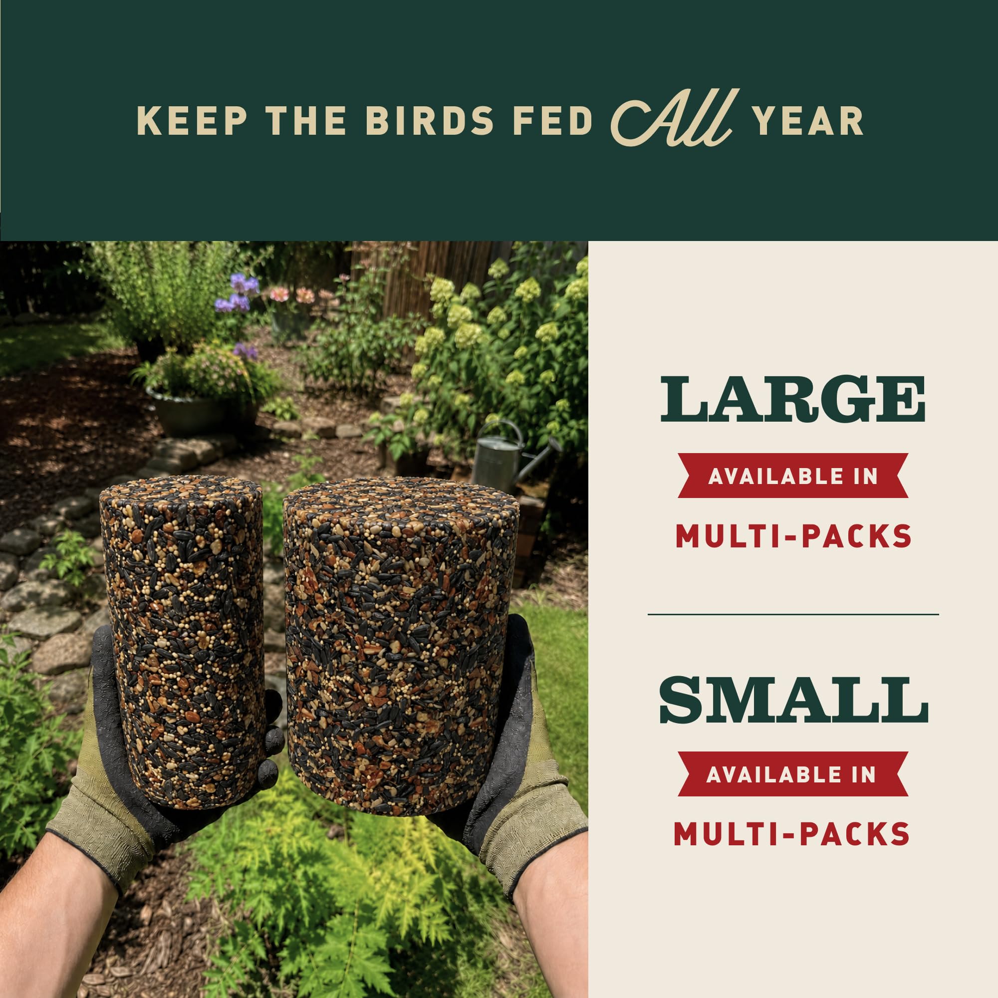 Mr. Bird cylinder next to ruler showing 4 lb size and long-lasting use