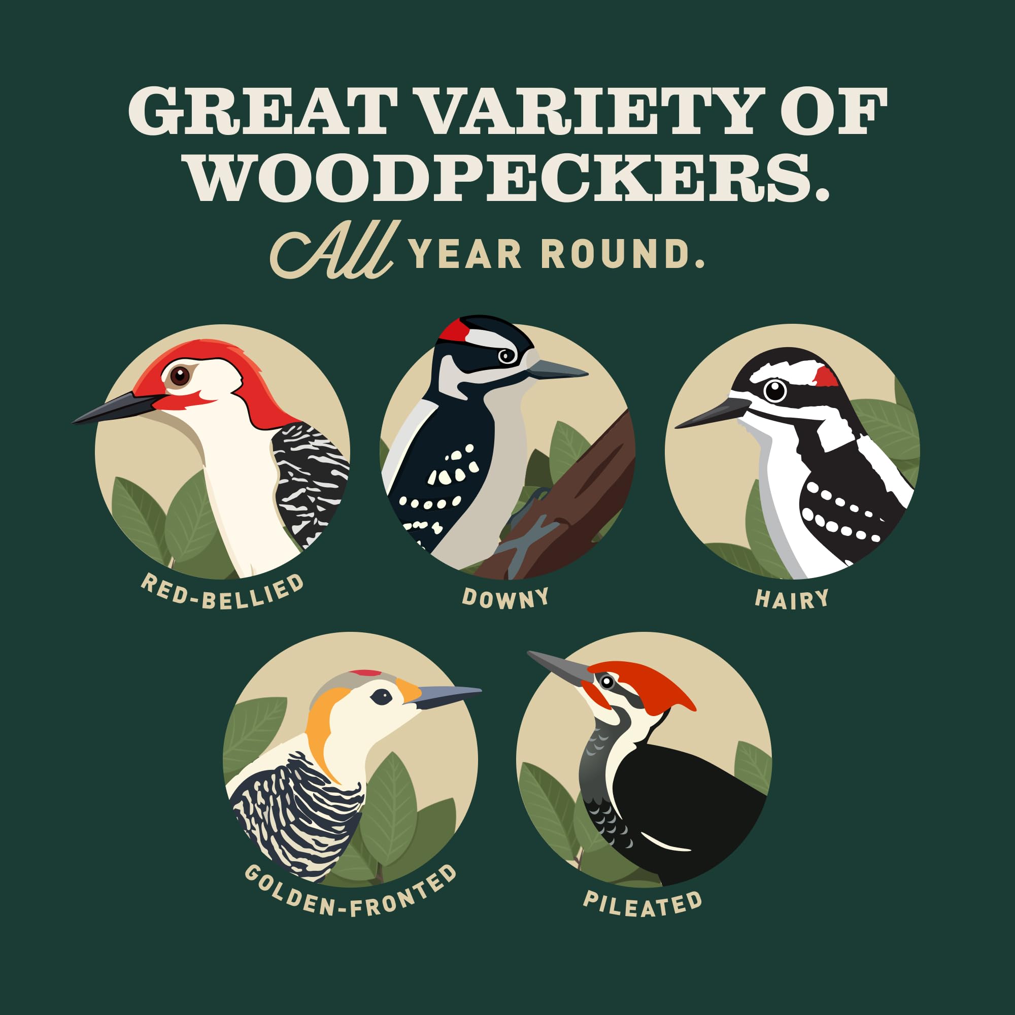 Mr. Bird feeder with woodpecker perched showing effective attraction in yard