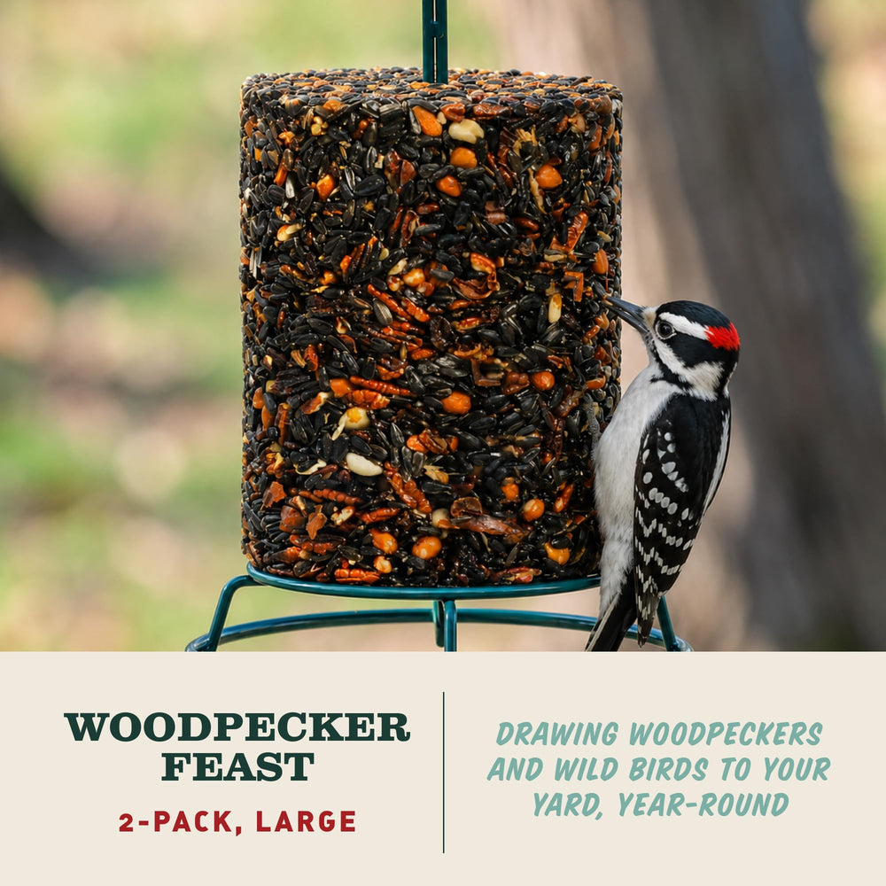 Mr. Bird close-up of cylinder texture highlighting dense nuts and seeds for durability