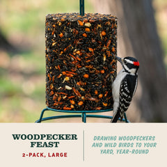 Mr. Bird close-up of cylinder texture highlighting dense nuts and seeds for durability