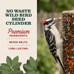 Mr. Bird ingredients shot with pecans and peanuts showing high-protein appeal