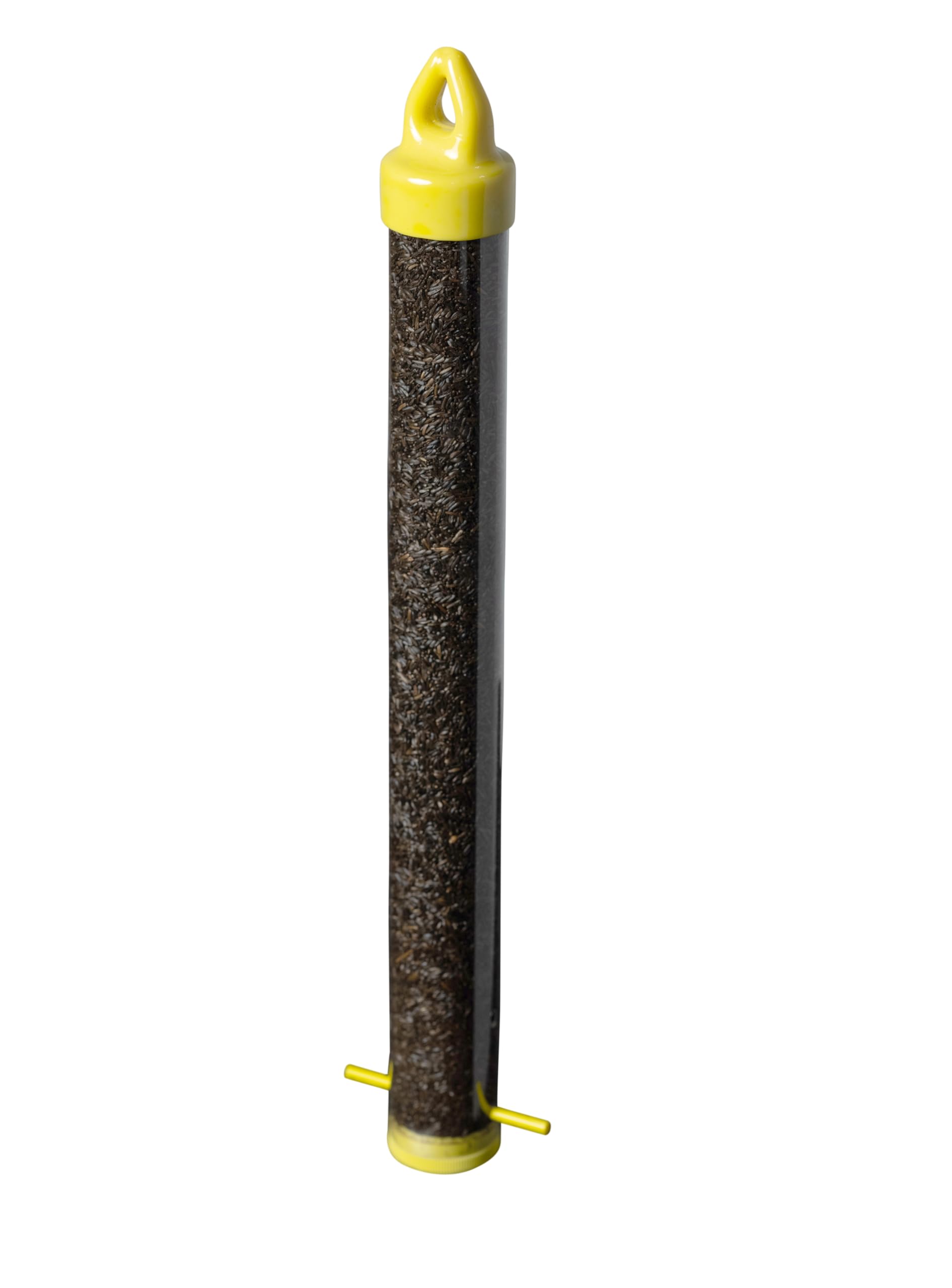 Mr. Canary feeder hanging in backyard attracting small songbirds and increasing sightings
