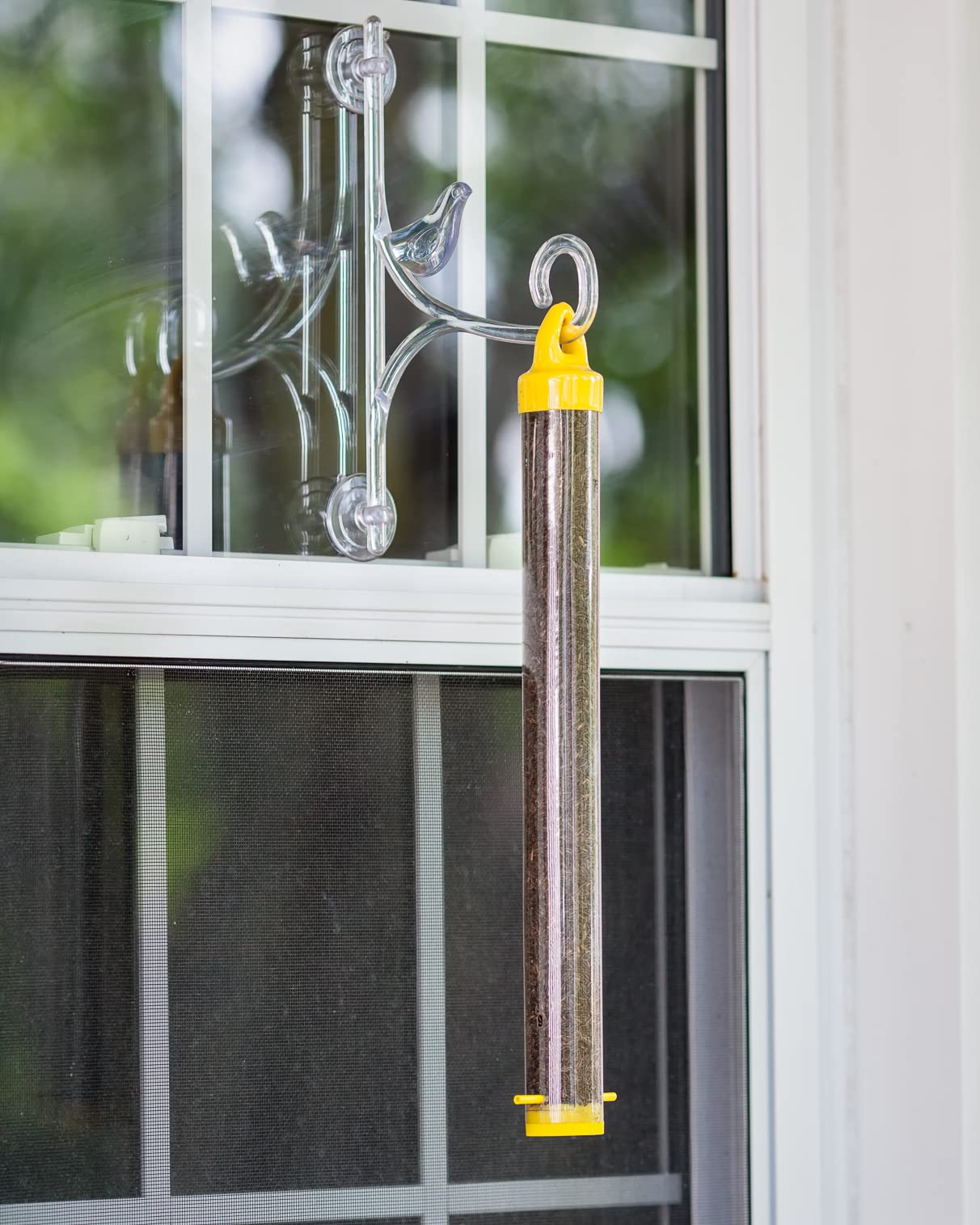 Mr. Canary feeder held in hand for scale to show compact size and convenient use