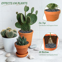 Mr. Fireglass pebbles used as top-dress in a succulent pot for cleaner watering