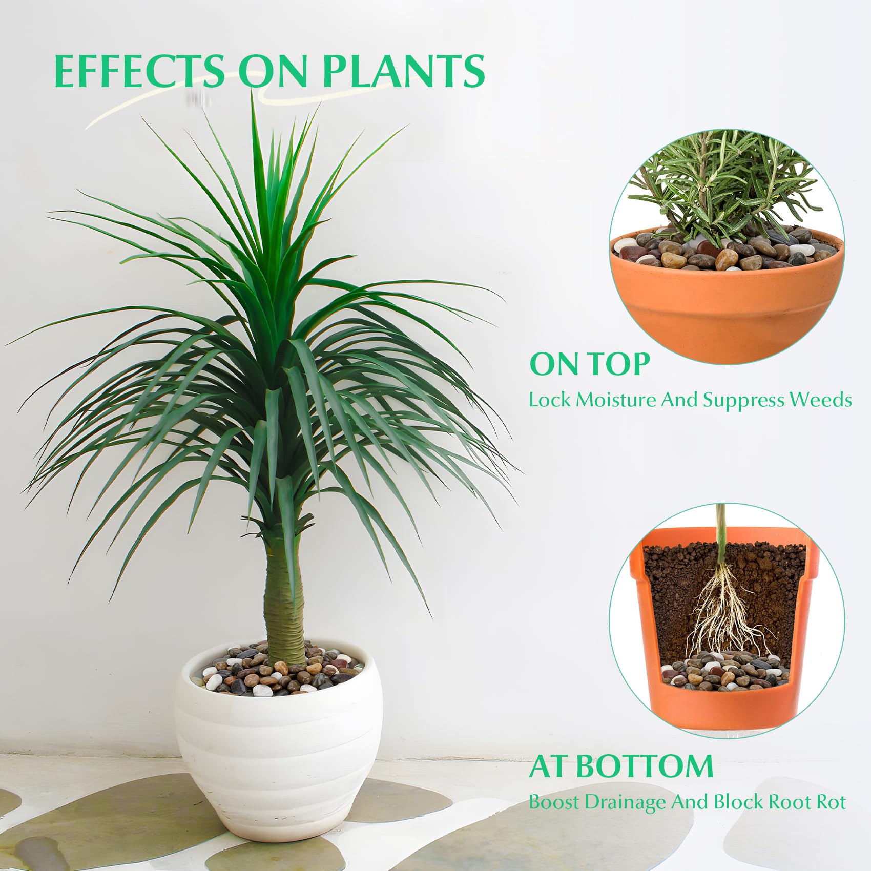 Mr. Fireglass used as potted plant top dress showing neat finish and moisture retention benefit