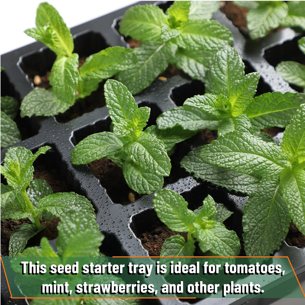 Mr. Pen trays on greenhouse table illustrating space-saving propagation advantage