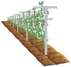 Mr Garden front view of 7ft trellis showing full height and arms, durable support