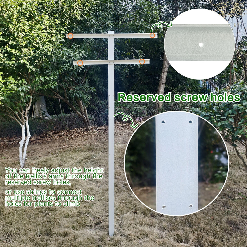 Mr Garden trellis with grapevines trained up arms, improved airflow and harvest access