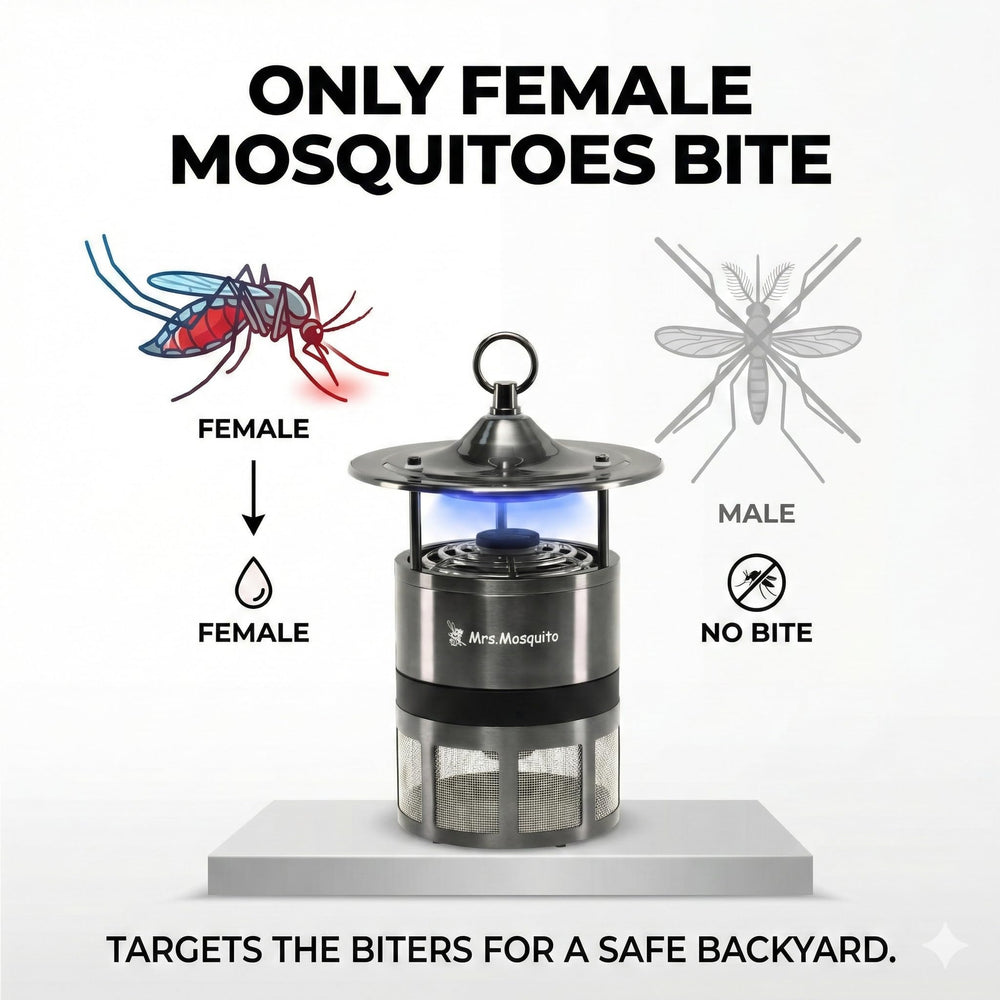 Mrs Mosquito next to a hand showing compact scale and easy handling benefit