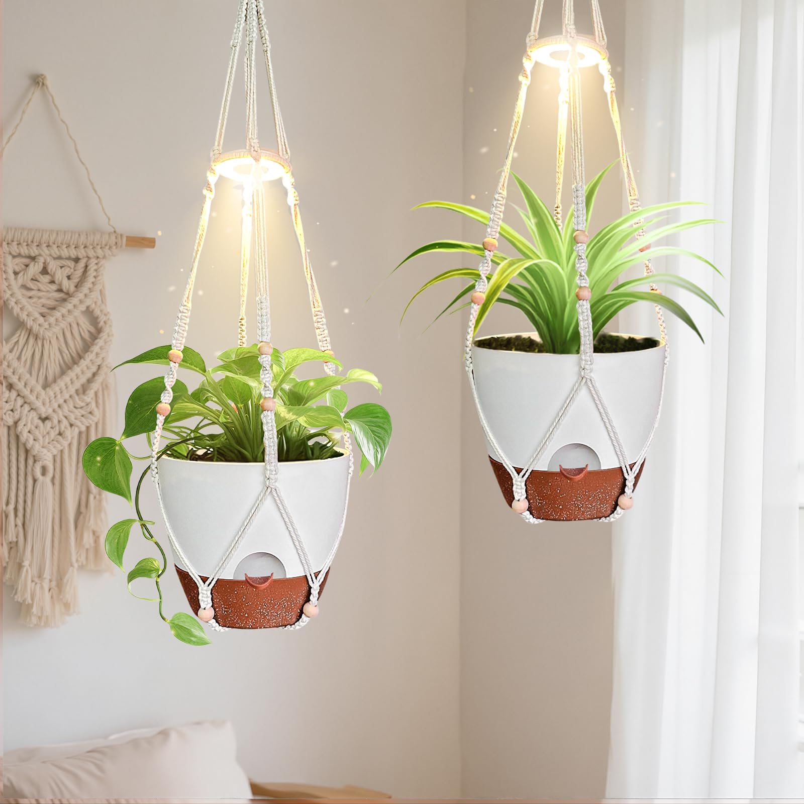 MSFON front view of both hanging planters showing stylish décor and easy setup