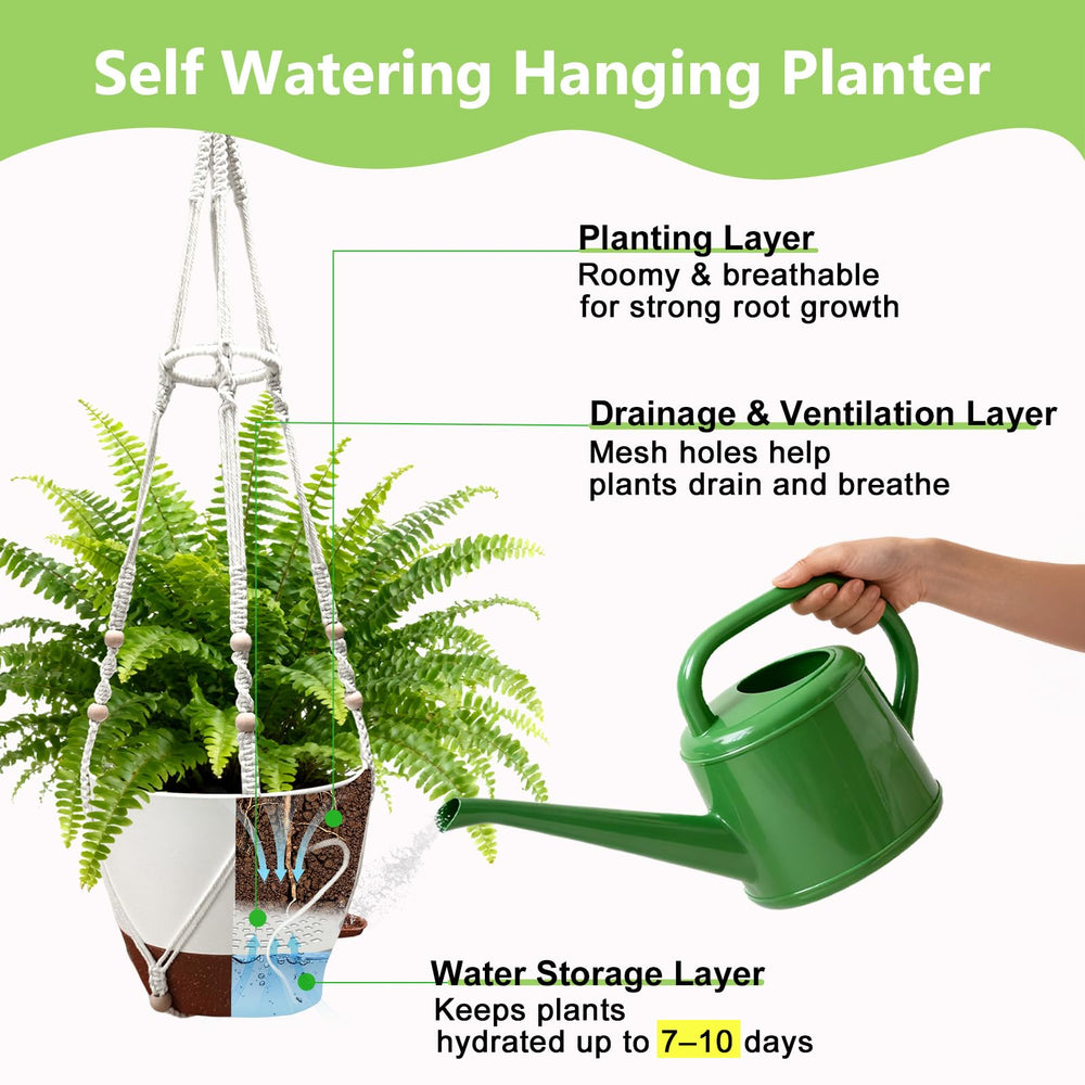 MSFON hanging planter in living room showing decorative greenery boost