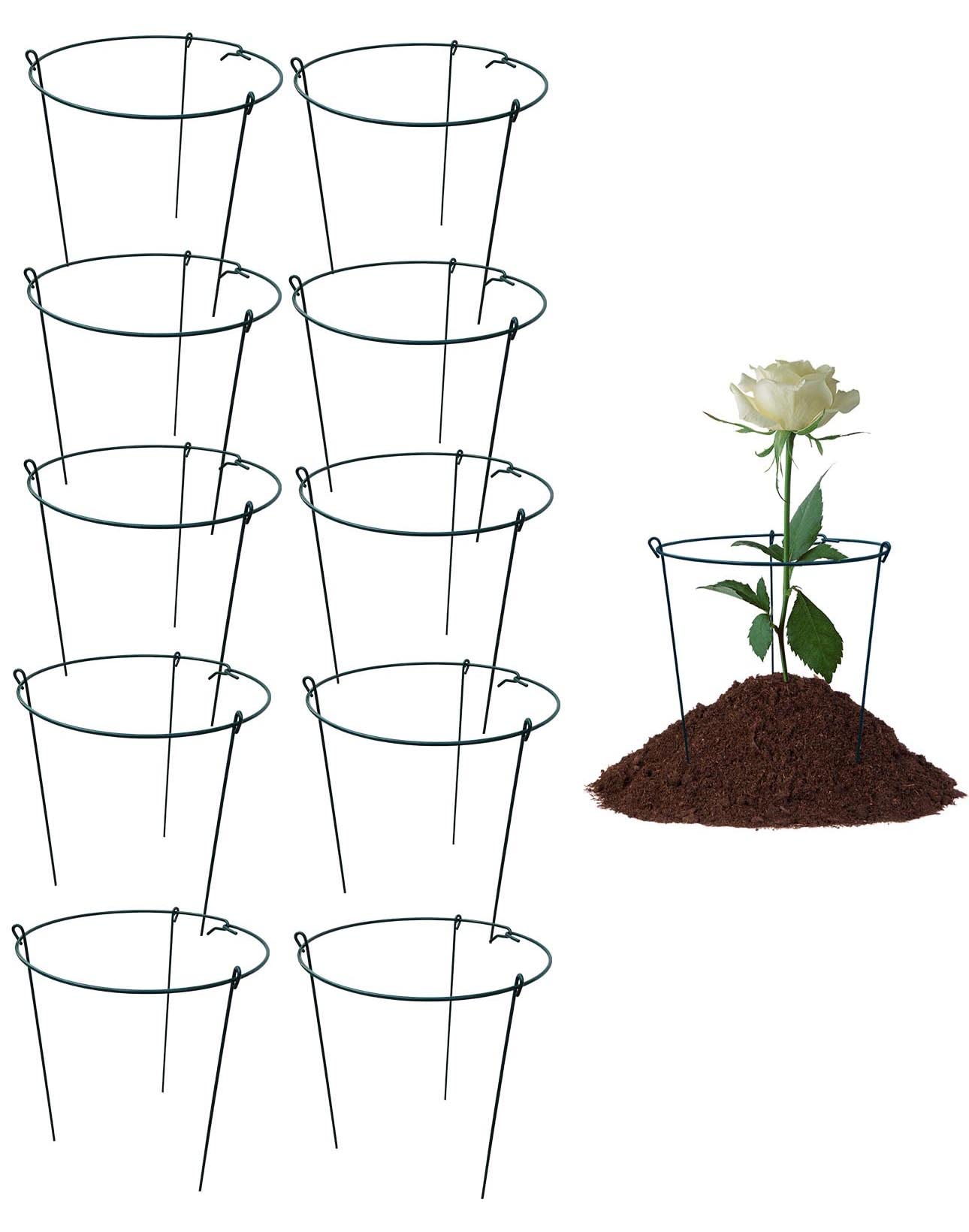 MTB Garden front view of 10-pack peony rings showing neat packaging and durable support