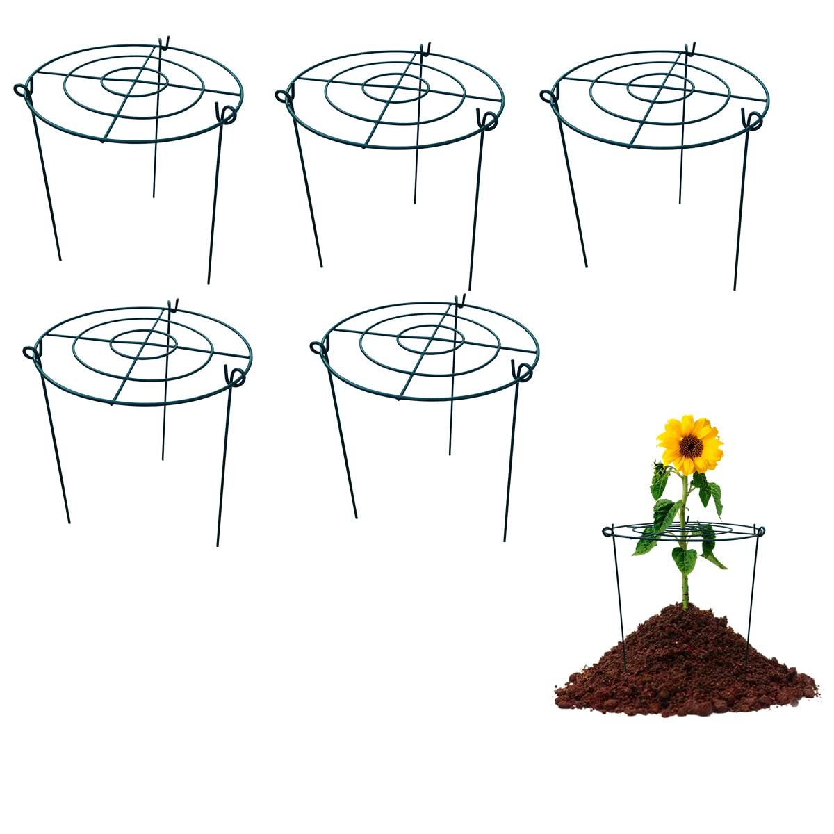 MTB Garden front view of green peony cage showing ring and legs for tidy support