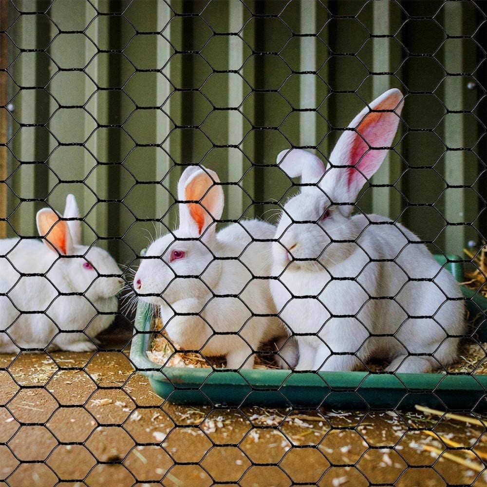 MTB Supply chicken run secured with netting showing secure containment and easy shaping
