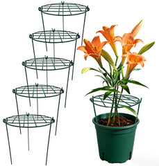 MTB Supply front packaging showing five green peony cages and benefits