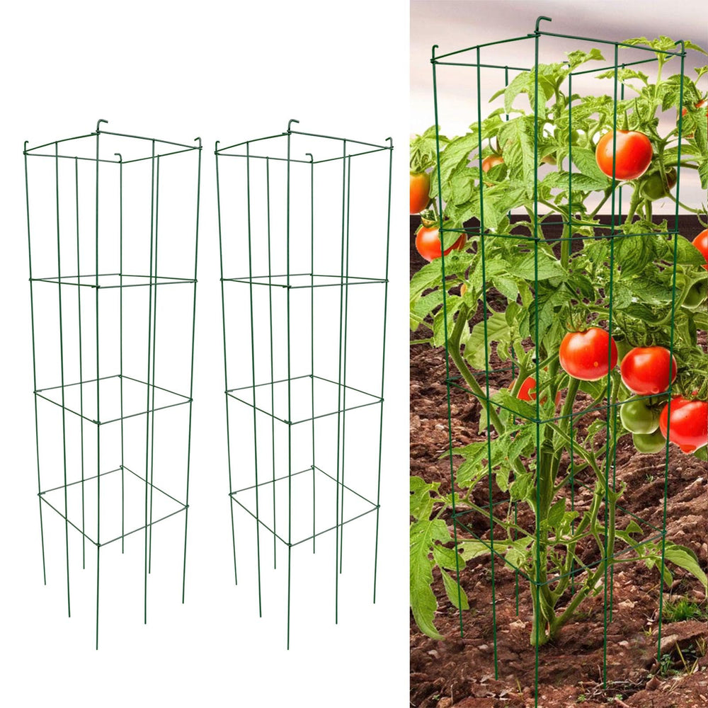 MTB Supply front view of green folding square cage showing stable support