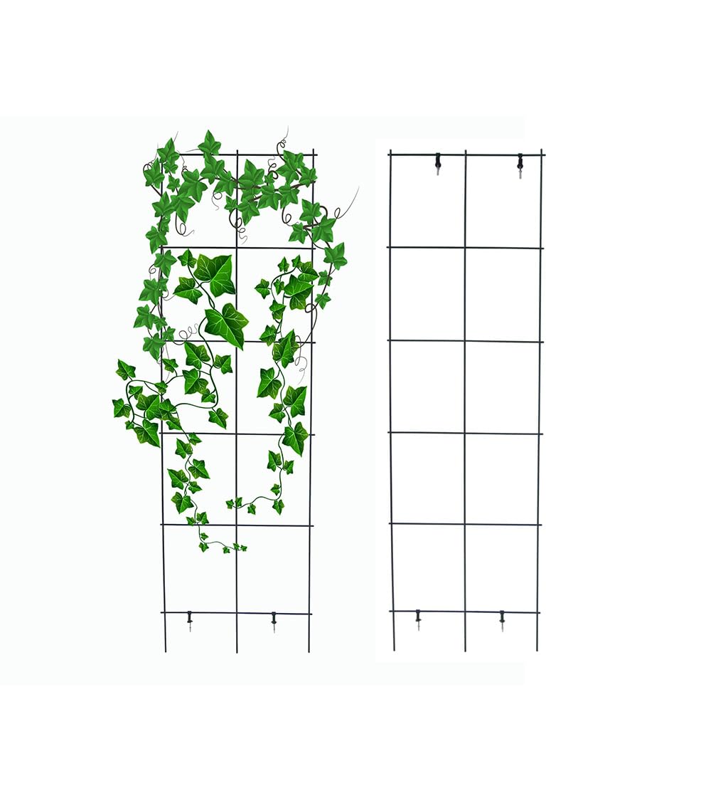 MTB Supply front view of trellis showing overall shape and height for neat planting