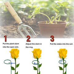 MTB Supply in-use shot of lily with support ring keeping the stem upright and protecting bloom