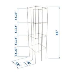 MTB Supply cage supporting tall tomato plant demonstrating organized growth benefit